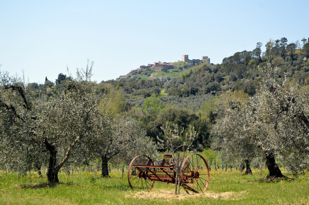 Country House Il Ciliegio Roccatederighi Luaran gambar